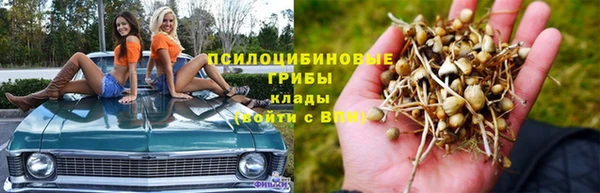 ешки Армянск